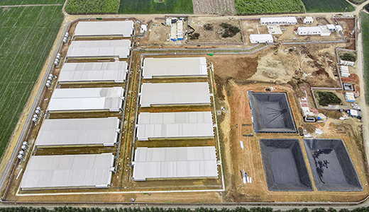 湛江北坡三合14000育肥五场